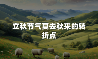 立秋节气：夏去秋来的转折点
