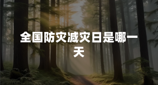 全国防灾减灾日是哪一天?