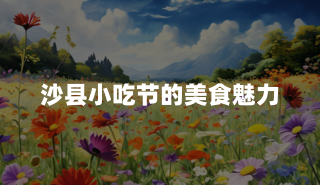 沙县小吃节的美食魅力