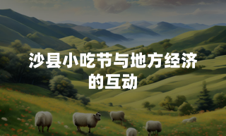 沙县小吃节与地方经济的互动
