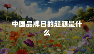 中国品牌日的起源是什么？